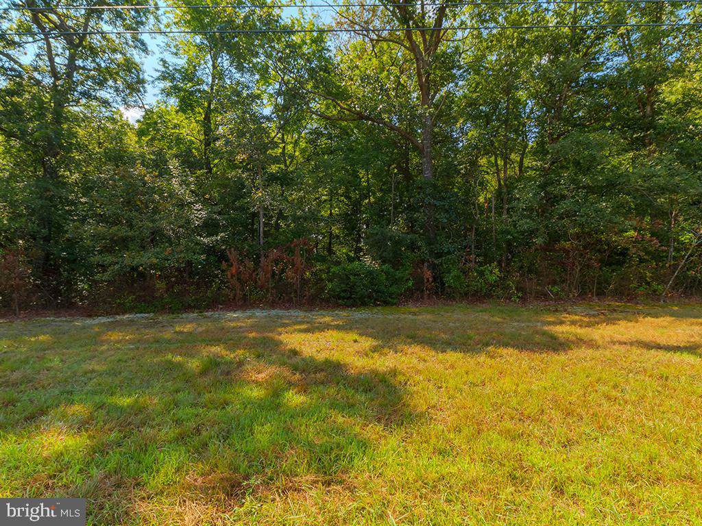Lot 3 Harmons Hill Road - Photo 1