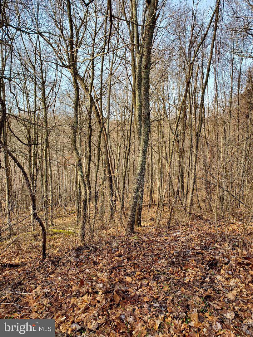 off of frazee ridge No Name - Photo 1