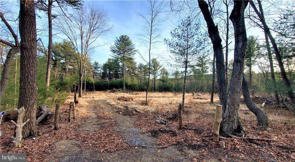 0 Fireline Road - Photo 1