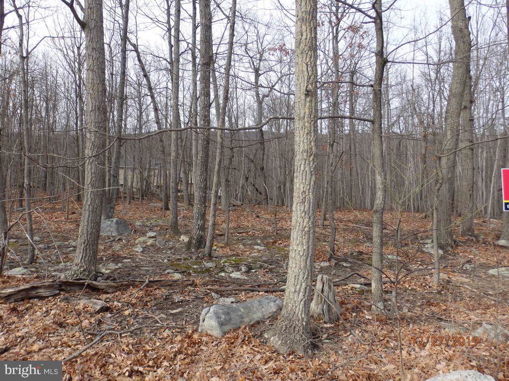 LOT 6 Cardinal - Photo 1