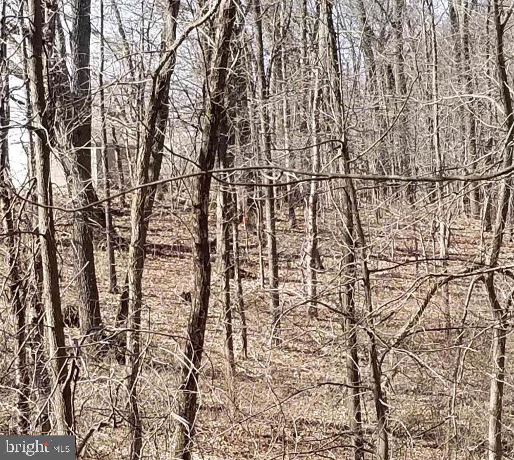 LOT 1 Mayberry - Photo 1
