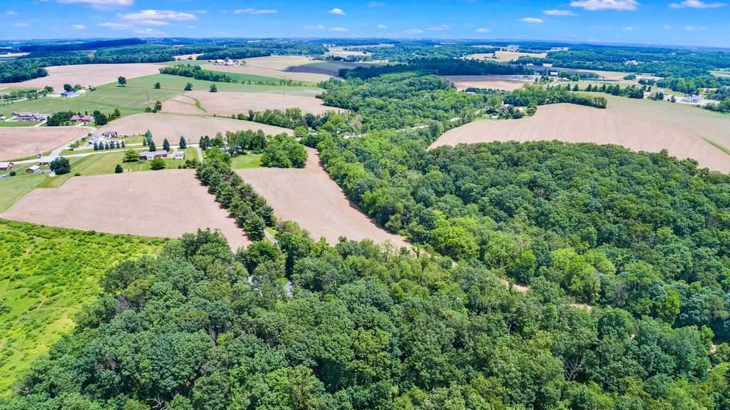 41 Acres Bridgeview Road - Photo 1