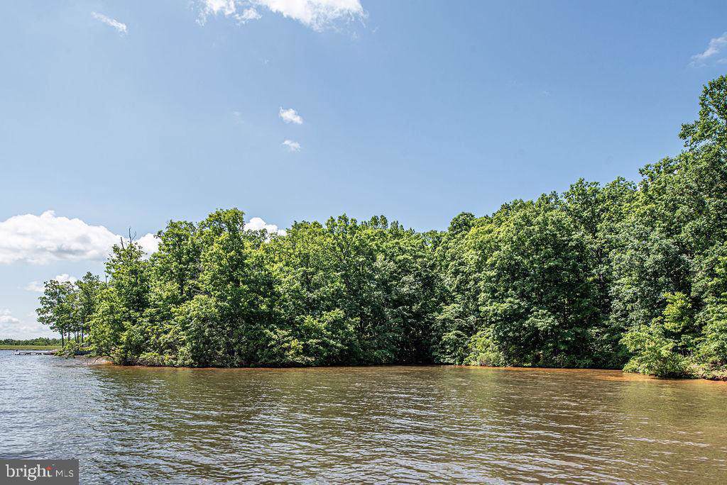 12310 Fawn Lake Parkway - Photo 1