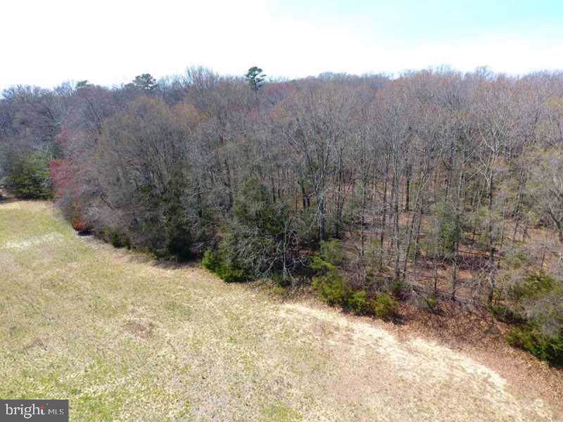 Caisson Rd Lot 1 - Photo 1