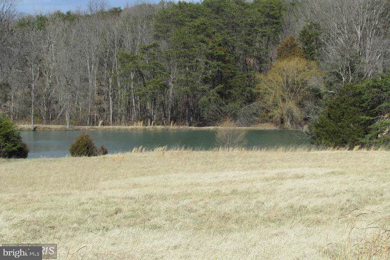 Lot 6 Powell Lane - Photo 1