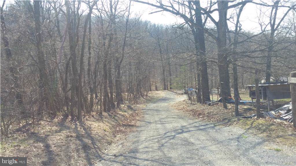 4916 Porterstown Road - Photo 1