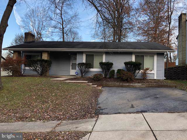 9206 Live Oak Lane - Photo 1