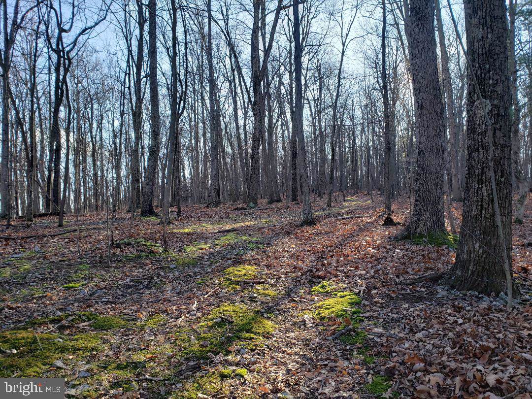 Dupree Drive - Photo 1