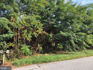 1441 Old Salem Road - Photo 1