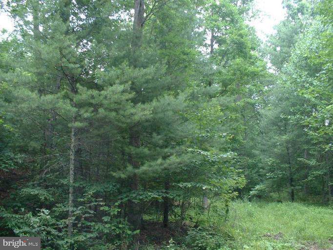 Off Cold Springs Rd - Photo 1