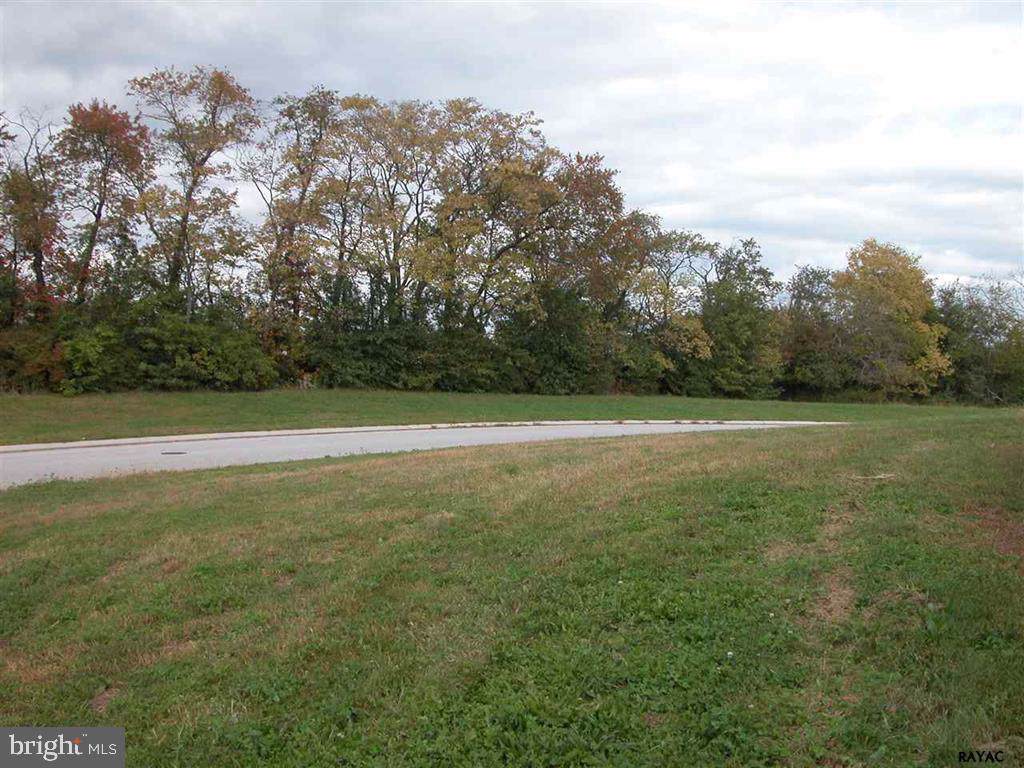 935 Shenandoah Lane - Photo 1