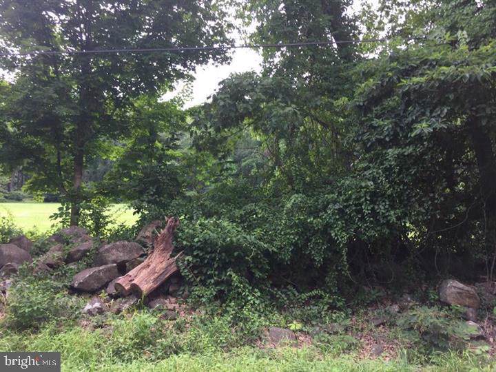 594 Hexenkopf Rd - Photo 1