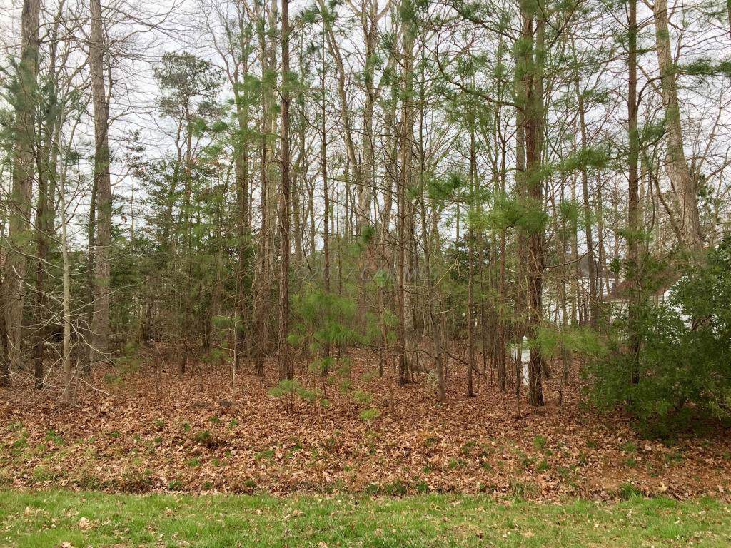1220 Carrollton Lane - Photo 1