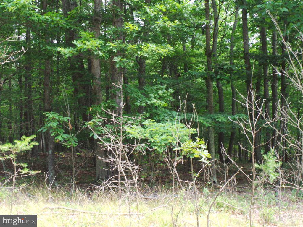 47 Tri Lake Ct - Photo 1