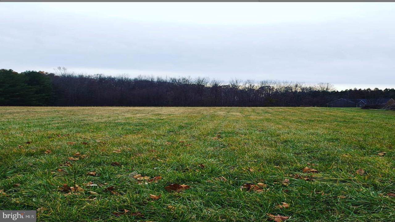 1840 Vandyke Greenspring Road - Photo 1