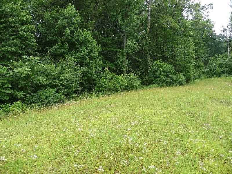 Lot 20 Stanley Drive - Photo 1