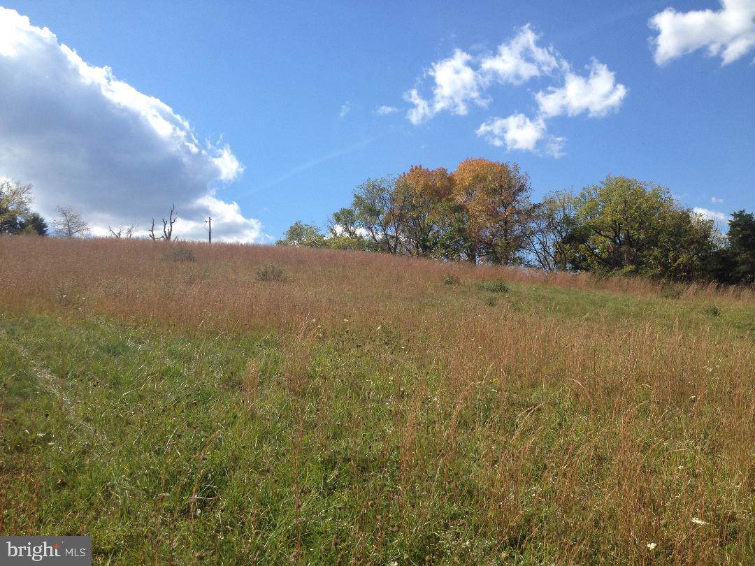 Lot 2A Mountain Brook - Photo 1