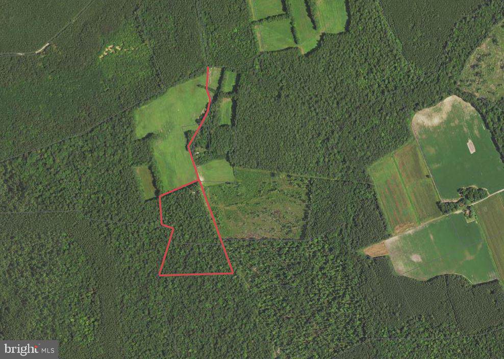 0 Davis Road - Photo 1