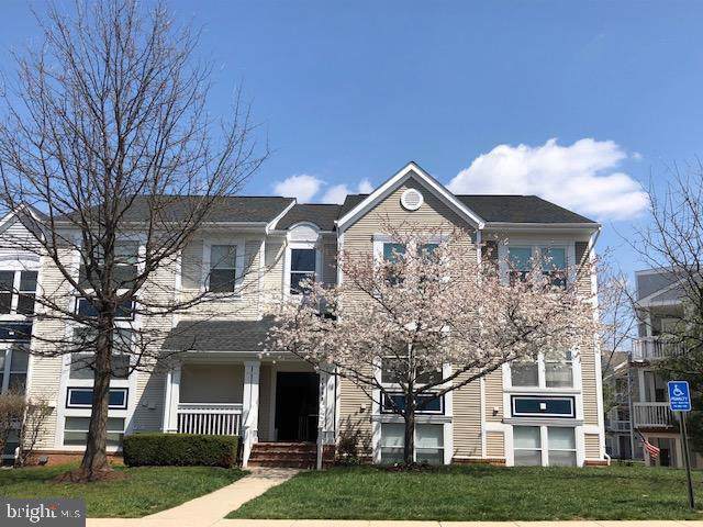 44098 Natalie Terrace - Photo 1