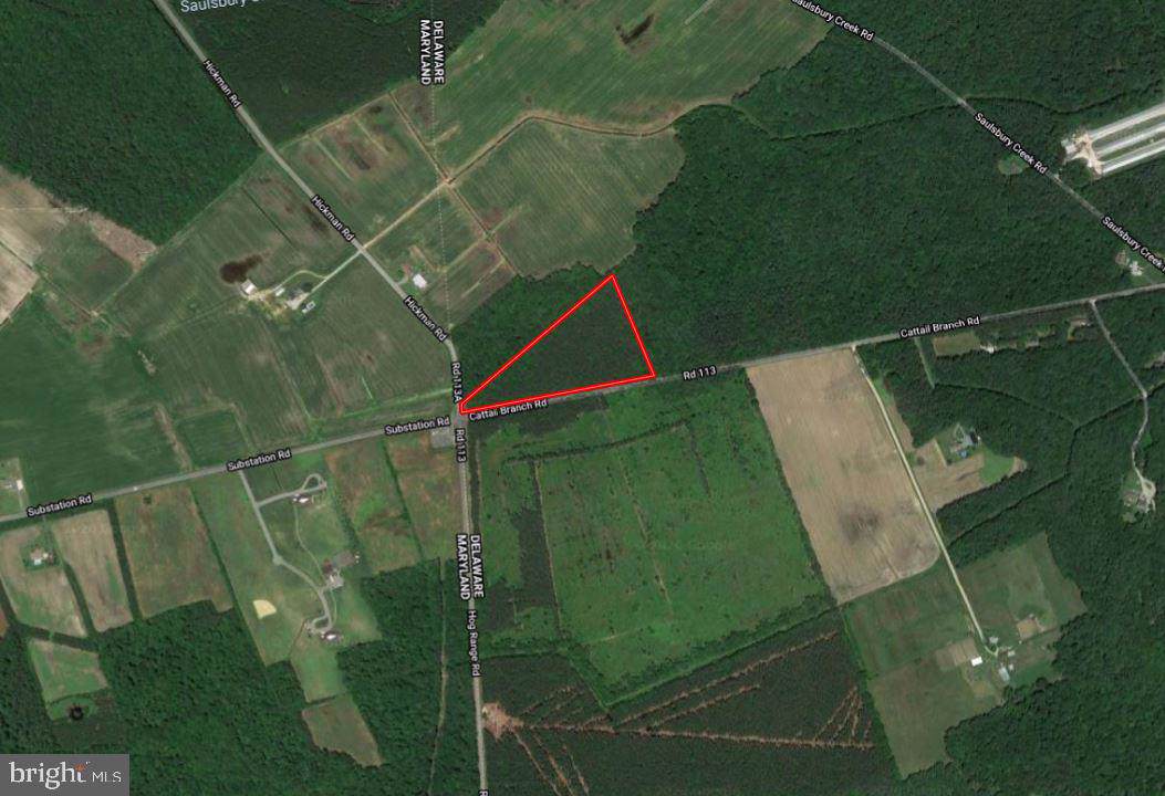 0 Cattail Branch Road - Photo 1