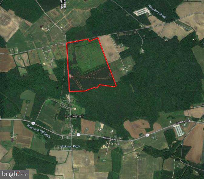 0 Cattail Branch Road - Photo 1