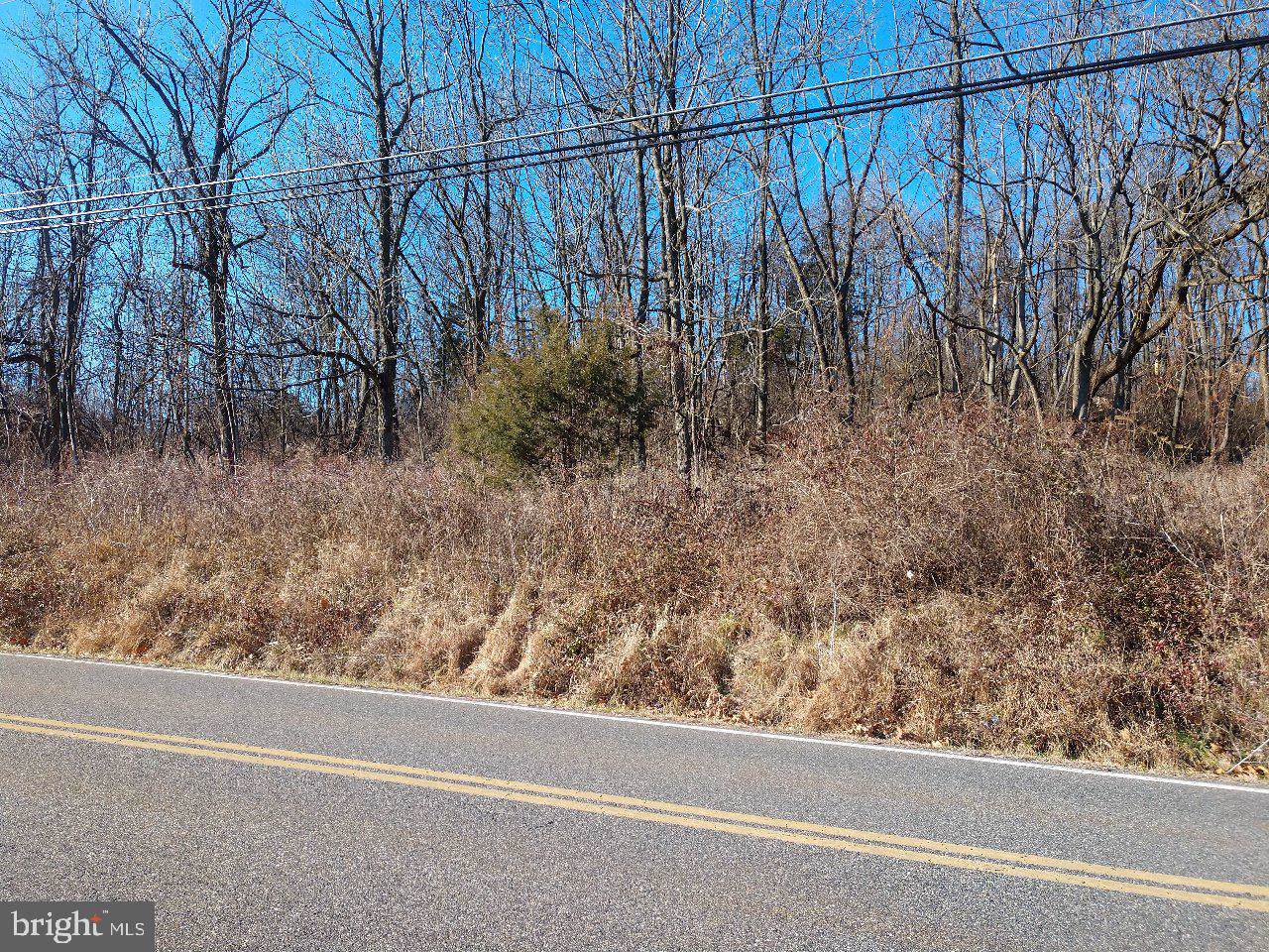 Lot 2 State Street - Photo 1