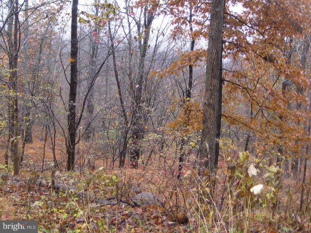 Forge Hill Road - Photo 1