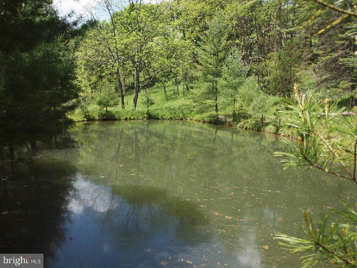 Capito Hill Road, Rt 23/1 - Photo 1