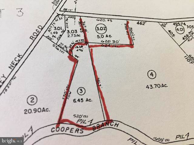 0 Beasley Neck Road - Photo 1