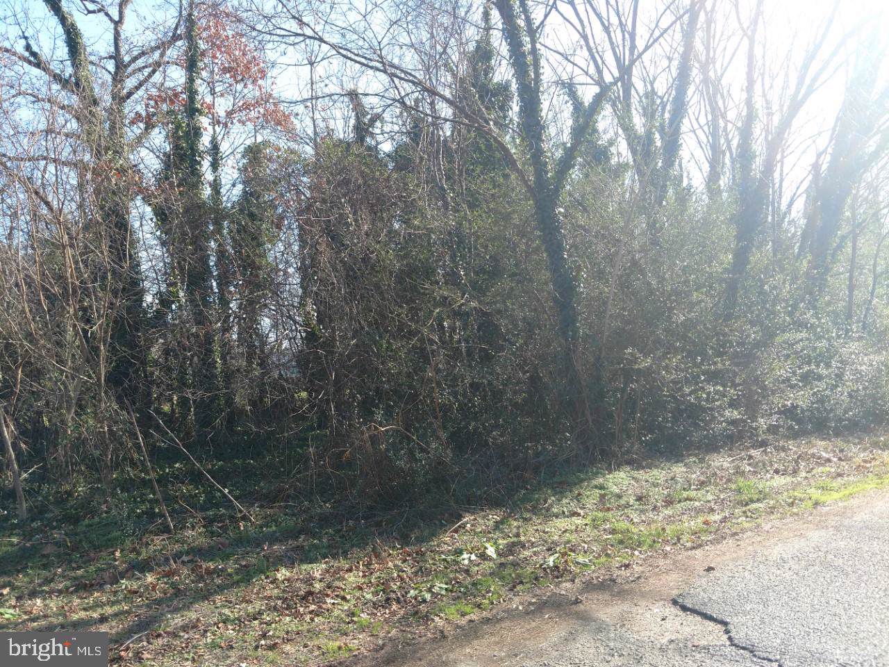 0 Kintz Street - Photo 1