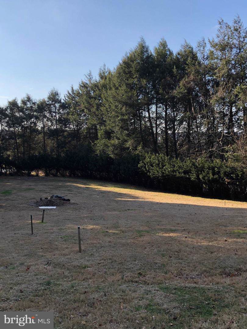 238 Buttonwood Road - Photo 1