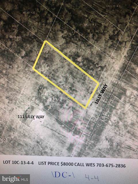 Lilly Way (Lot 4) - Photo 1