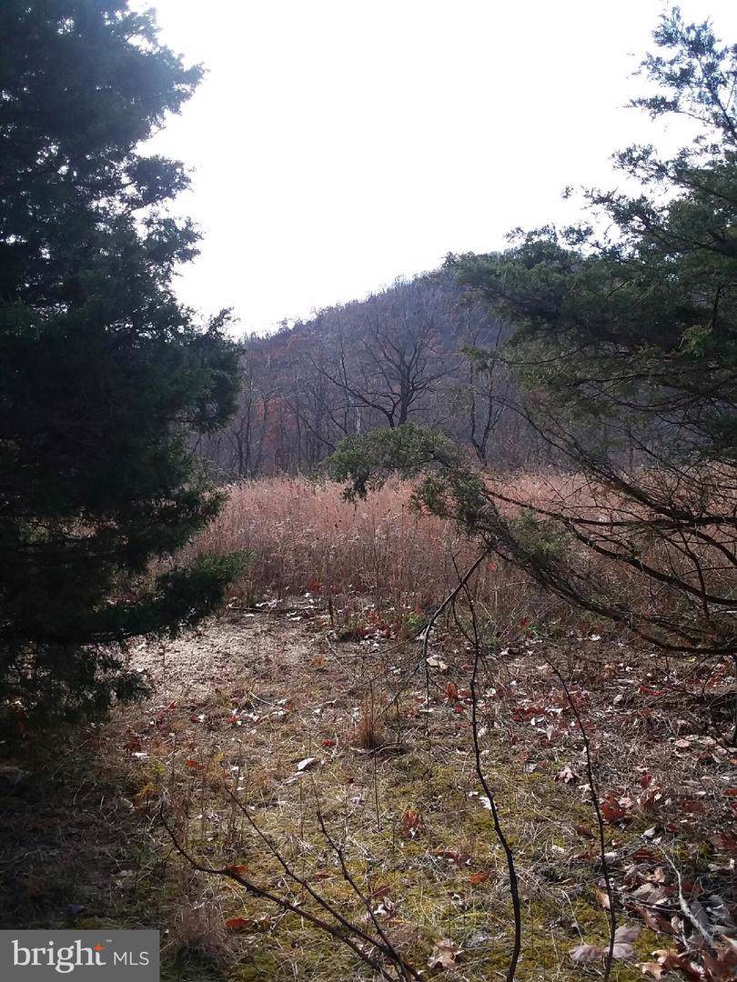 Lower Valley Road - Photo 1