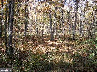 Rt 46 - Barnum Road - Photo 1