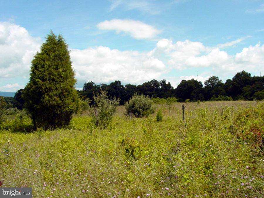 Off Of Rt 813 - Photo 1