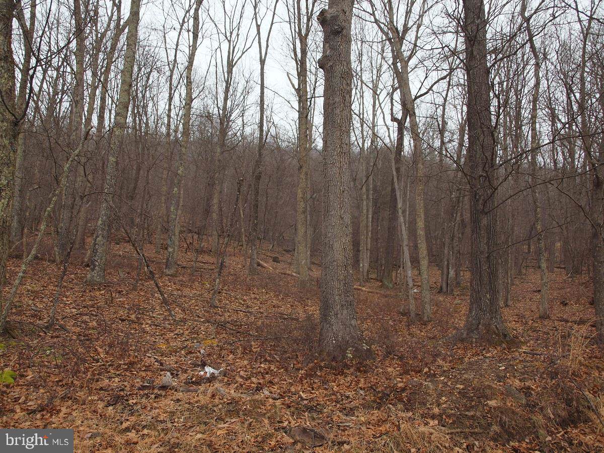 Lot 4 Buffalo Hills Vista - Photo 1