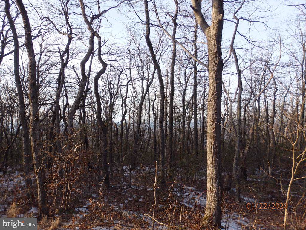 LOT 245 Rockwood - Photo 1