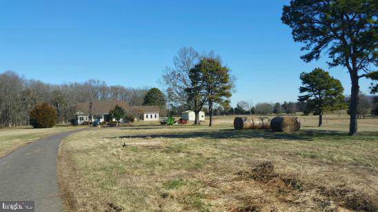10501 Twin Mountains Road - Photo 1