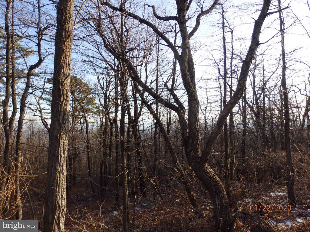 LOT 115 Rockwood Trl - Photo 1