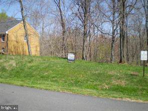 10517 Greene Drive - Photo 1