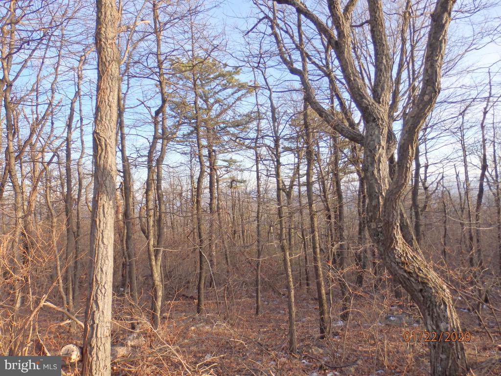 lot 29 Timber Ridge - Photo 1 lot 29 Timber Ridge - Photo 1