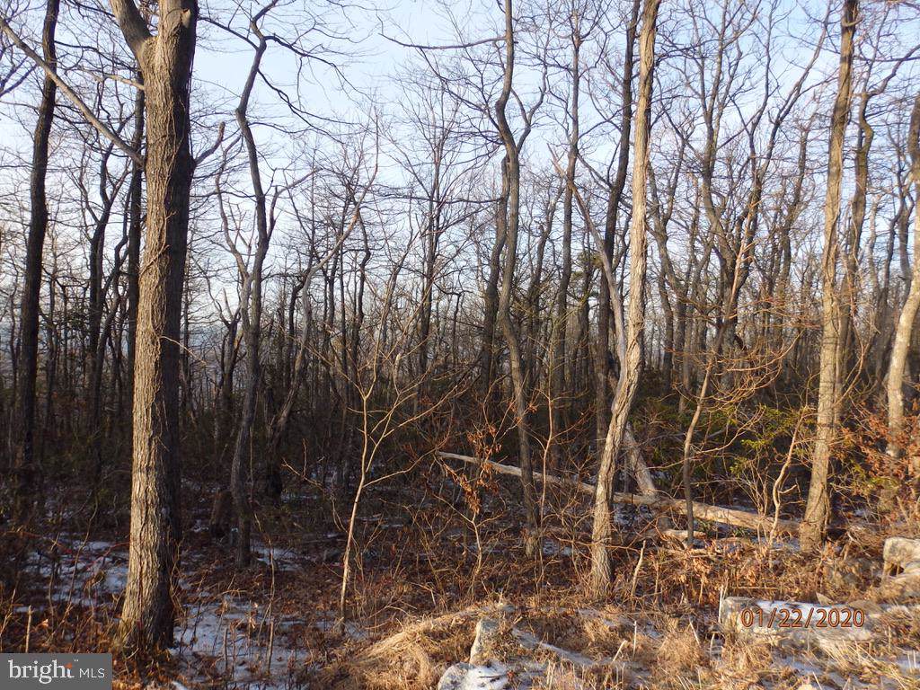 LOT 12 Bear Trl - Photo 1