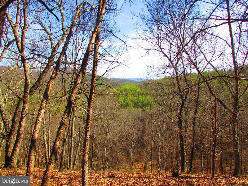 117 BLUFFS ON THE POTOMAC - Photo 1