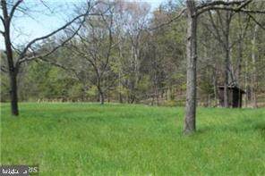 10889 South Branch River Road - Photo 1