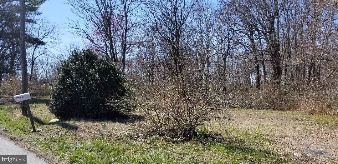 9324 Dupont Highway - Photo 1