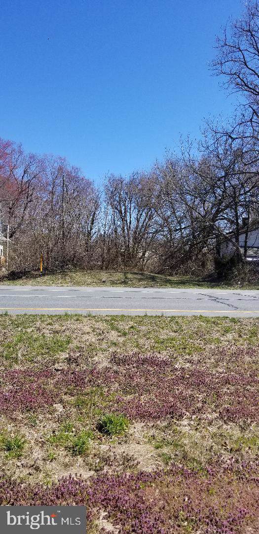 00 Dupont Highway - Photo 1