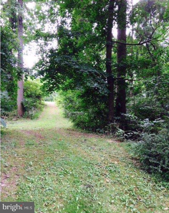 223 Old York Rd - Photo 1