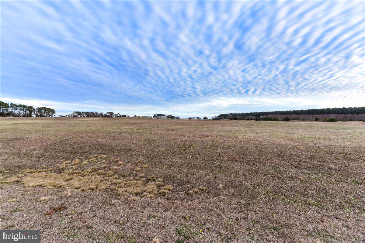 Lot 26 Sea Biscuit Road - Photo 1