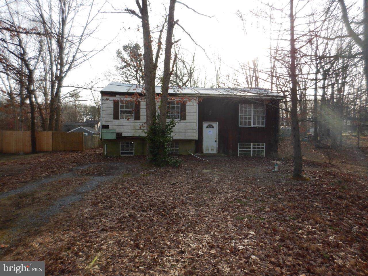425 Francis Avenue - Photo 1