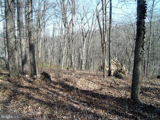 Lots 8 & 9 Shenandoah - Photo 1